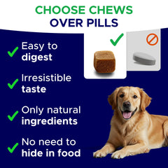 GOODGROWLIES melatonin dog-chews close-up texture for chewable calm