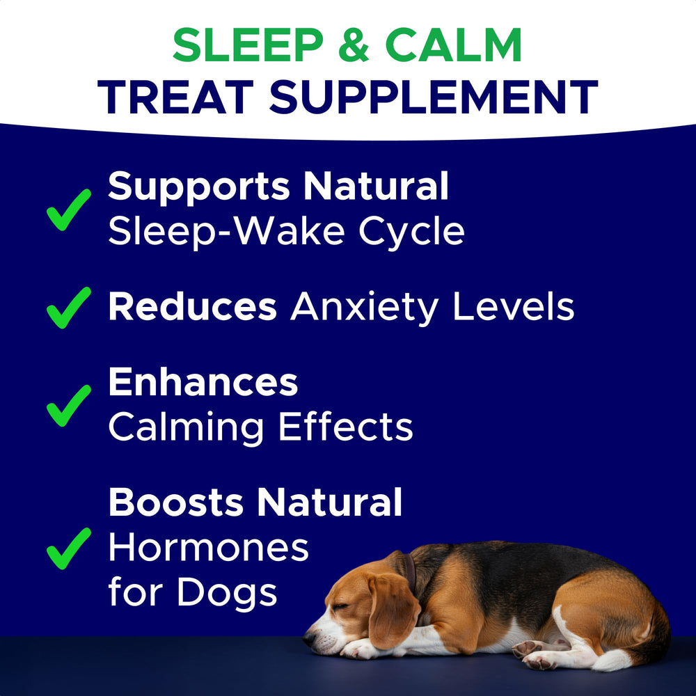 GOODGROWLIES melatonin dog-chews night-scene showing peaceful sleep prep
