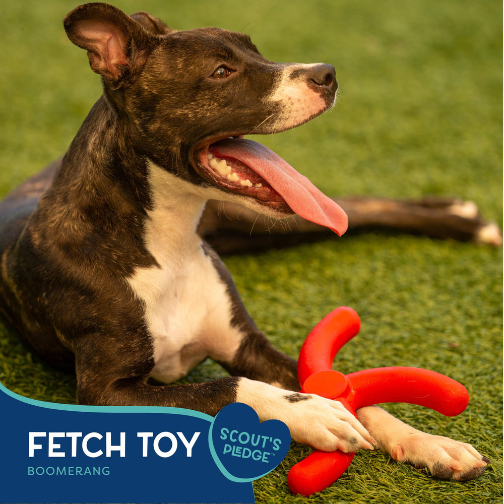 Good Scout Boomerang dog toy cleaning-ready surface supports easy washing.