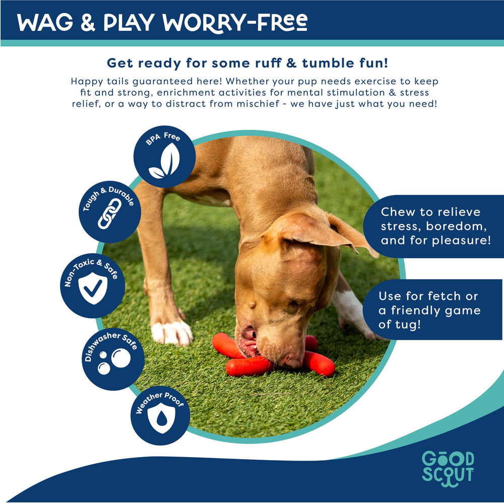 Good Scout Boomerang dog toy durable and dishwasher-safe for quick cleanup.