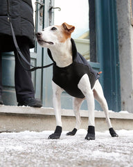 GOO EEZ Ultras Dog Boots XXS anti-skid sole in action on varied terrain.