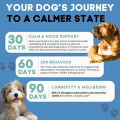 Googipet Daily Hemp Calming Chews hero ingredients label with Ashwagandha and Valerian Root