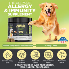 GOOGIPET Dog Allergy Chews dish time dogs savor flavor while supporting coat health