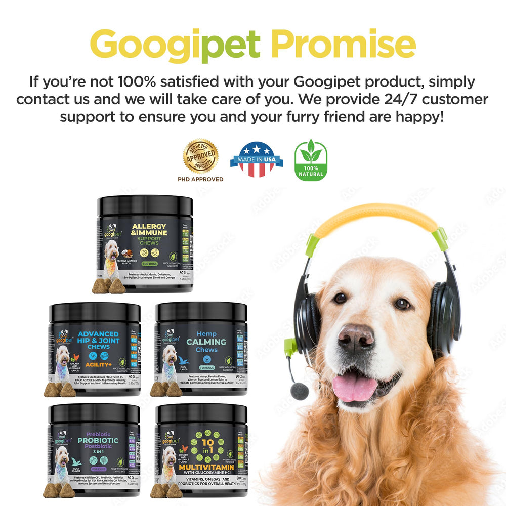 GOOGIPET Dog Allergy Chews serving bowl setup for easy daily use.