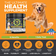 Googipet Premium dog enjoying a chew, illustrating tasty daily support.