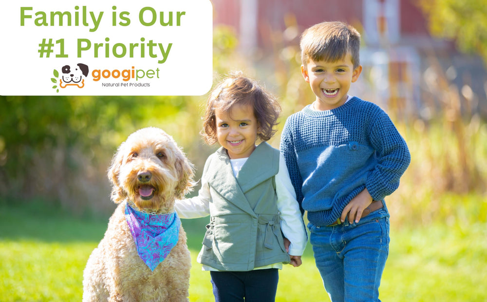 Googipet Probiotics for Dogs digestive-health banner, communicating overall gut wellness benefits.