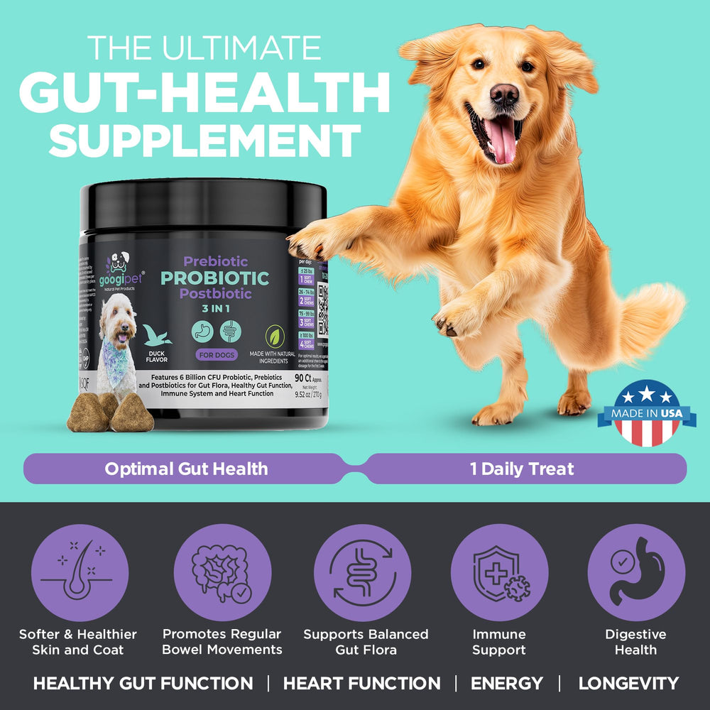 Googipet Probiotics for Dogs jar-front view, showcasing convenient daily probiotic for gut health.