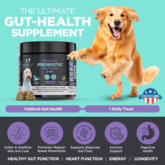 Googipet Probiotics for Dogs jar-front view, showcasing convenient daily probiotic for gut health.