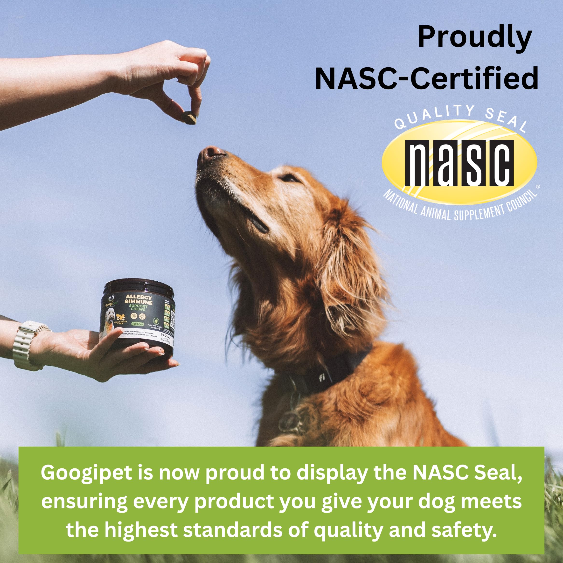 Googipet Probiotics for Dogs papaya-fiber visual, promoting healthy digestion and regularity.