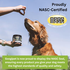 Googipet Probiotics for Dogs papaya-fiber visual, promoting healthy digestion and regularity.