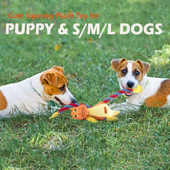GOOLA dog toy showing five squeakers supports interactive play and focus during solo sessions