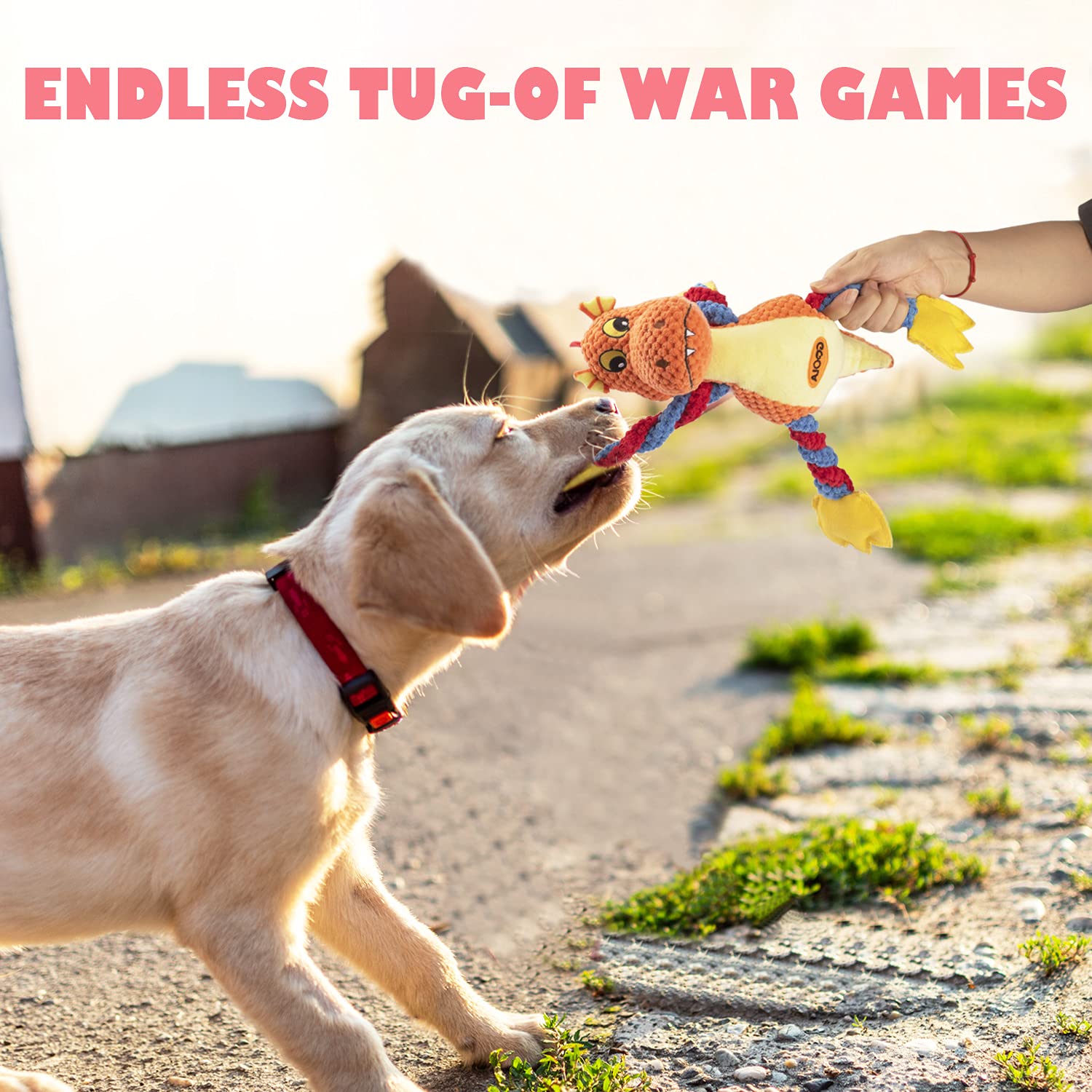 GOOLA dog toy featuring moveable limbs encourages tug-of-war and bonding between you and your pet