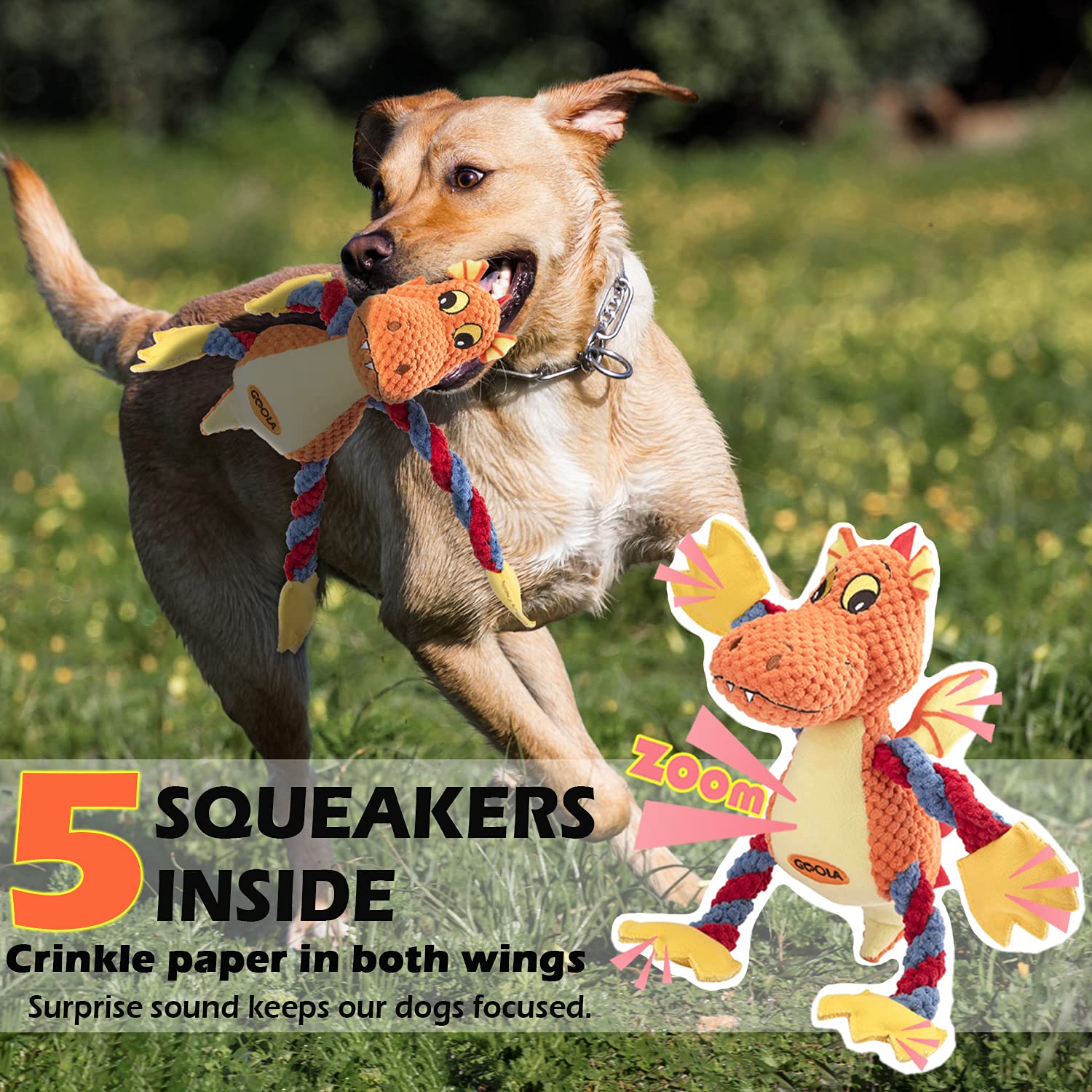 GOOLA dragon toy with crinkle wings provides tactile interest and engaging sounds during fetch