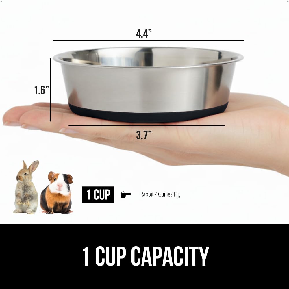 Gorilla Grip silicone-base dog bowl stabilizes during meals