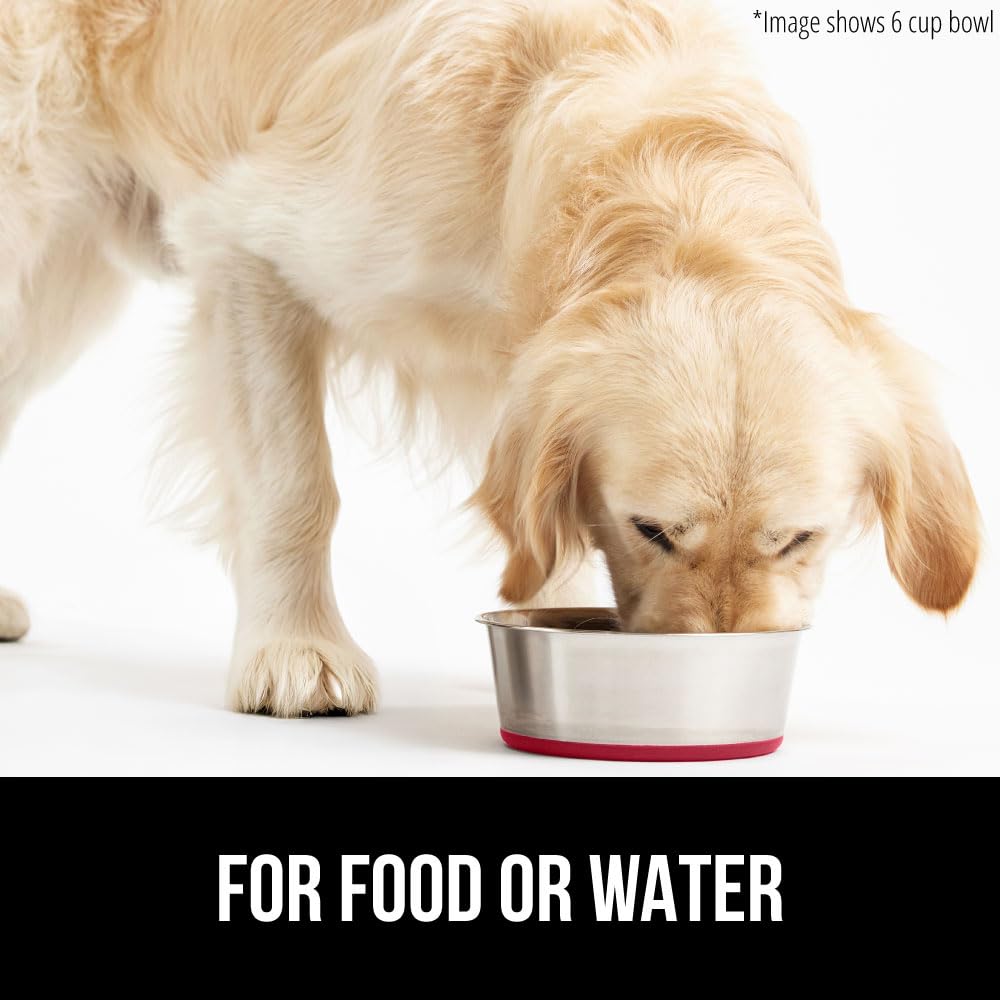 Gorilla Grip rust-resistant stainless steel dish for wet or dry food