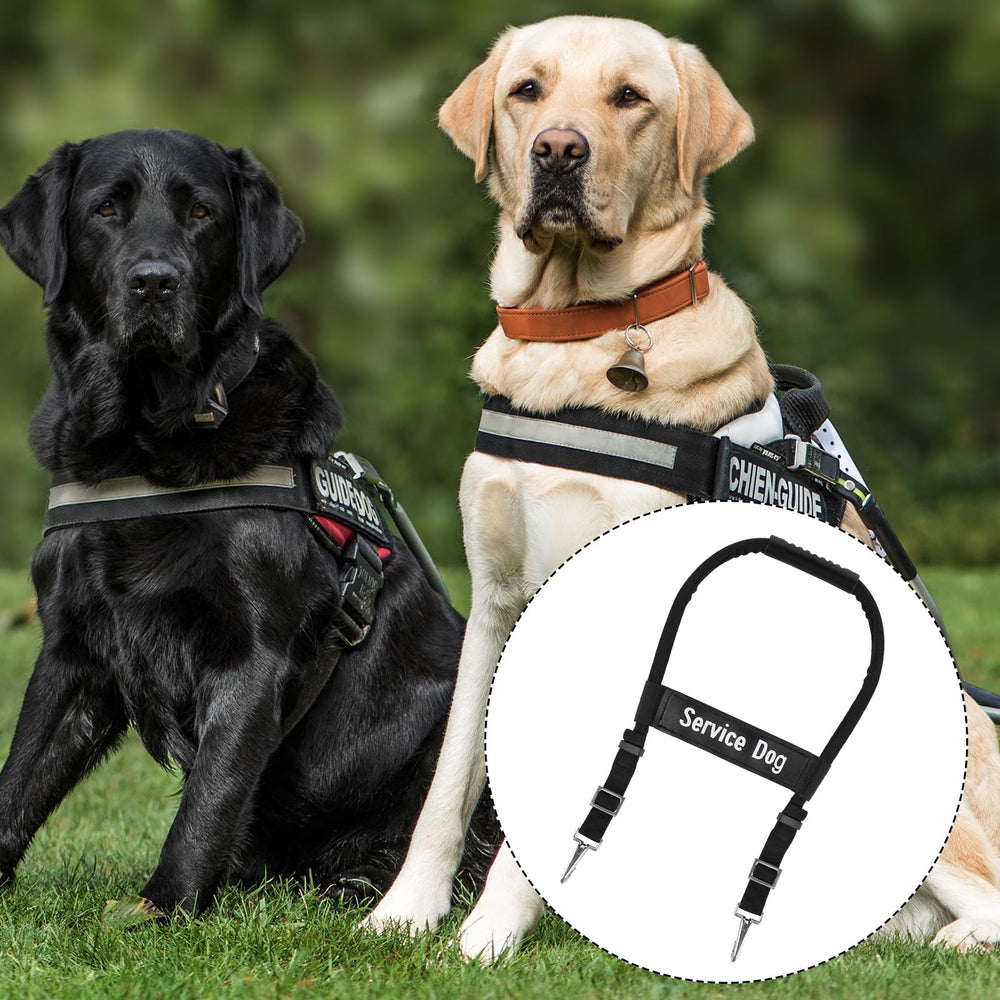 Gosknor service dog vest packaging preview