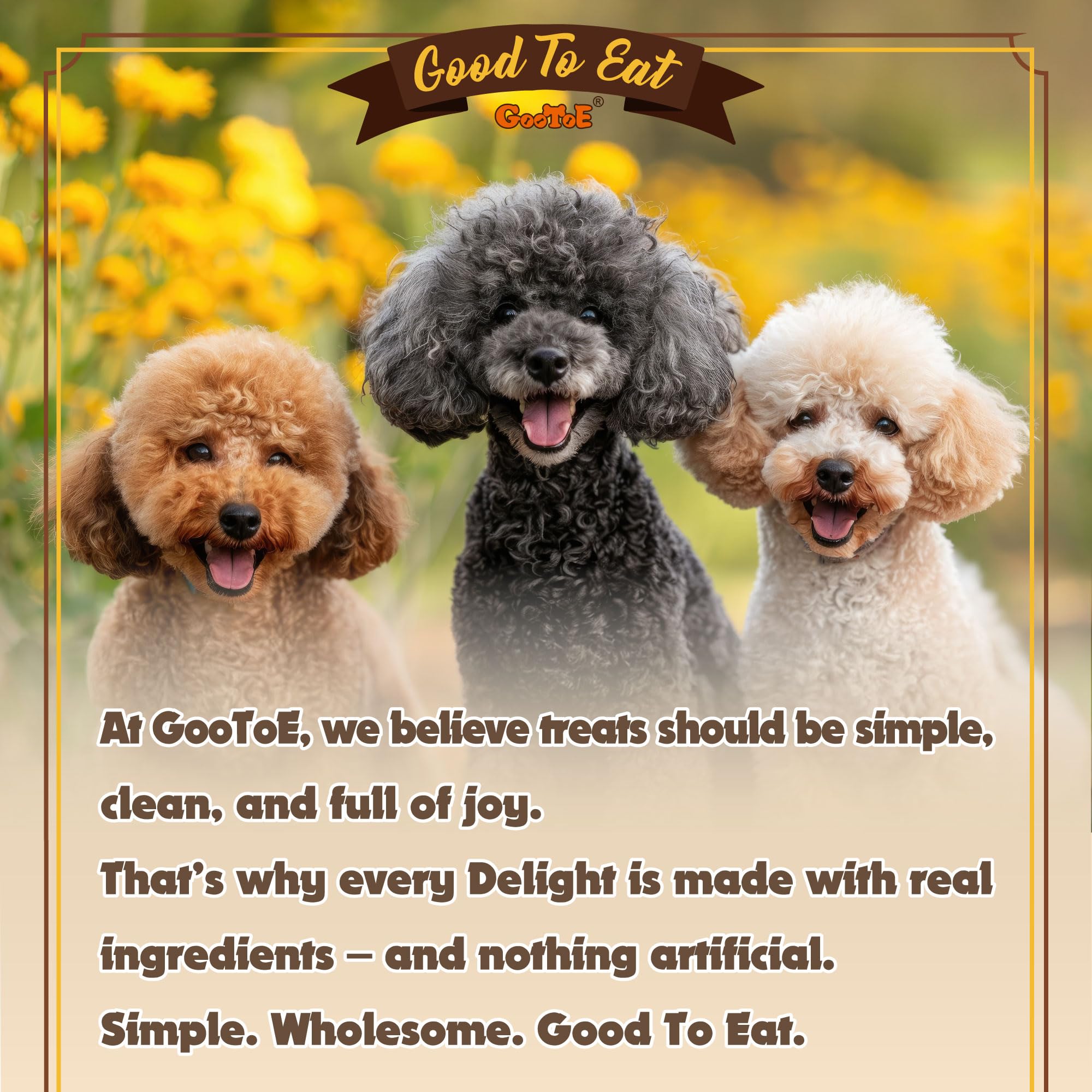 Gootoe 16oz pack dog treats for extended training sessions.