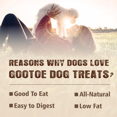Gootoe long-lasting-chew dog treat demonstrates extended play sessions.