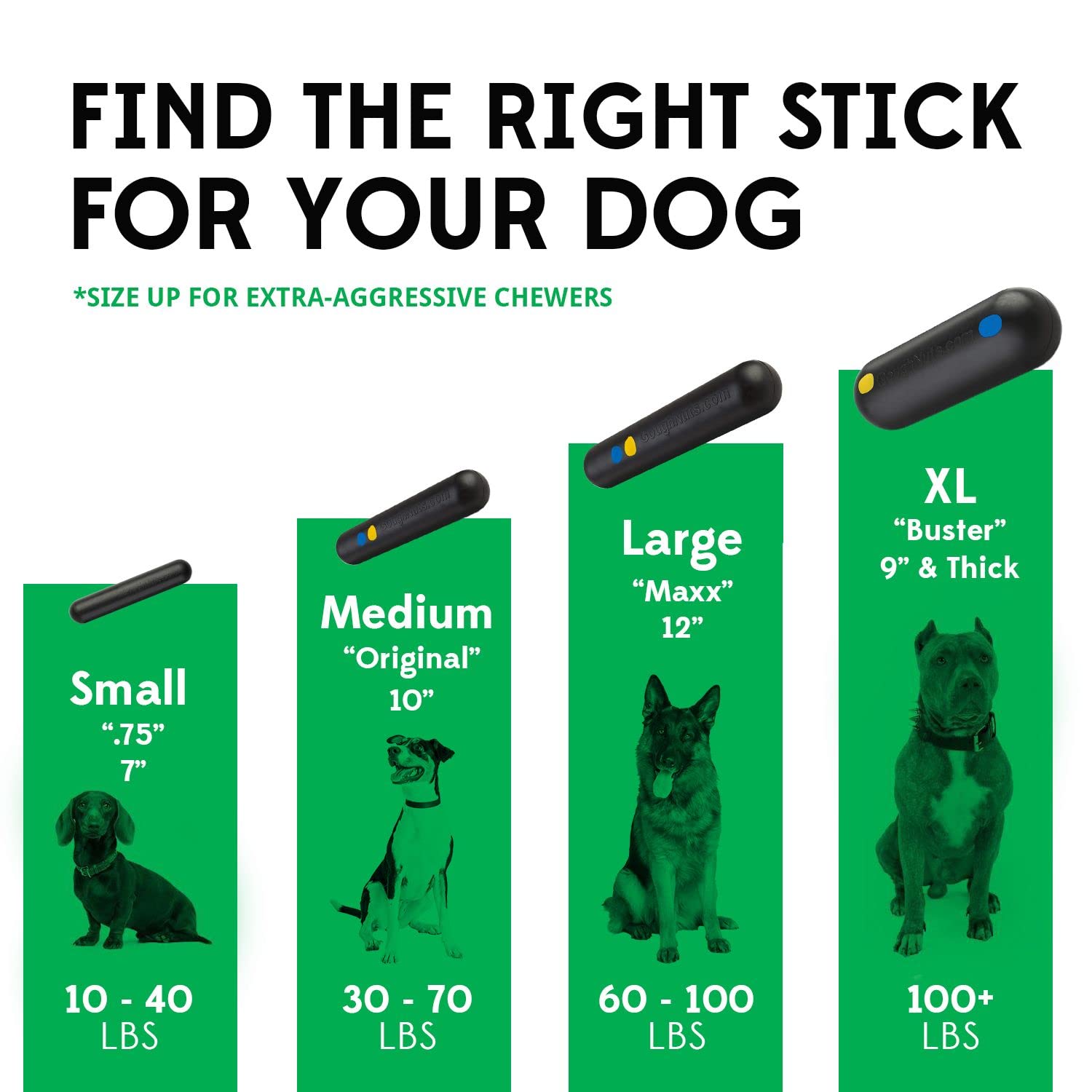 Goughnuts indestructible dog toy in use with medium breed showcases extended playtime.