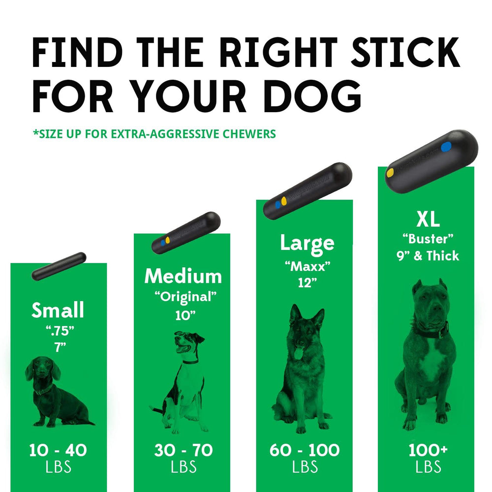 Goughnuts indestructible dog toy in use with medium breed showcases extended playtime.