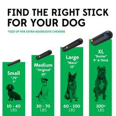 Goughnuts indestructible dog toy in use with medium breed showcases extended playtime.