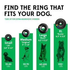 Goughnuts lifetime-warranty dog toy green ring for near-indestructible fun