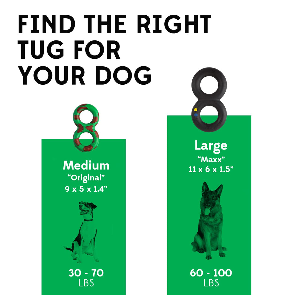 Goughnuts pit bull german shepherd tug toy in action for strength training.