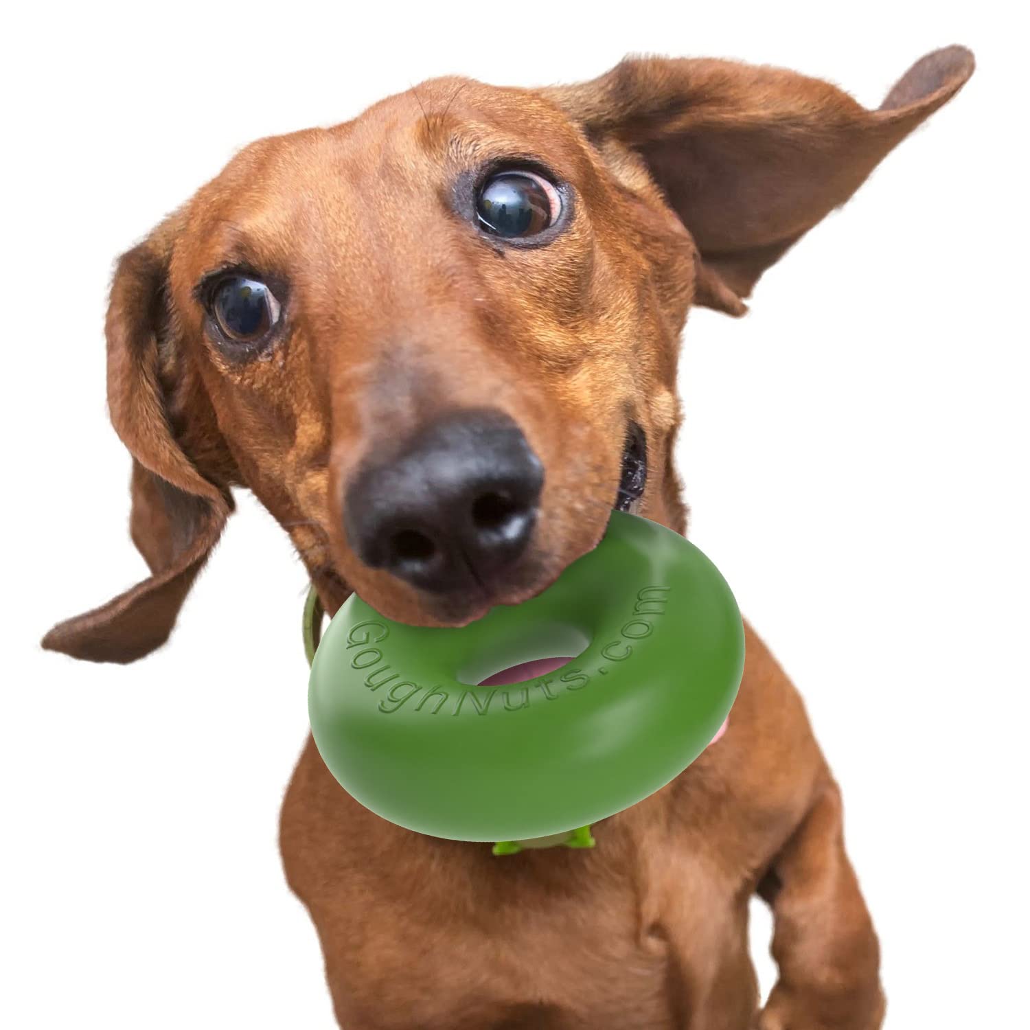 Goughnuts rubber dog chew toy med .75 green ring designed for tough chewers