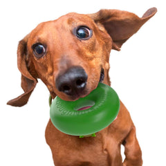 Goughnuts rubber dog chew toy med .75 green ring designed for tough chewers