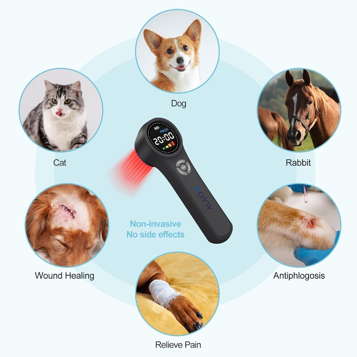 GOVW cold laser dog paw-area application targets mobility and comfort.