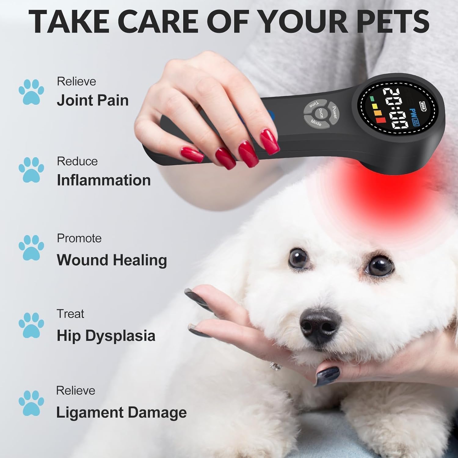 GOVW cold laser horses treatment area illustrates versatile therapy for joints and muscles.