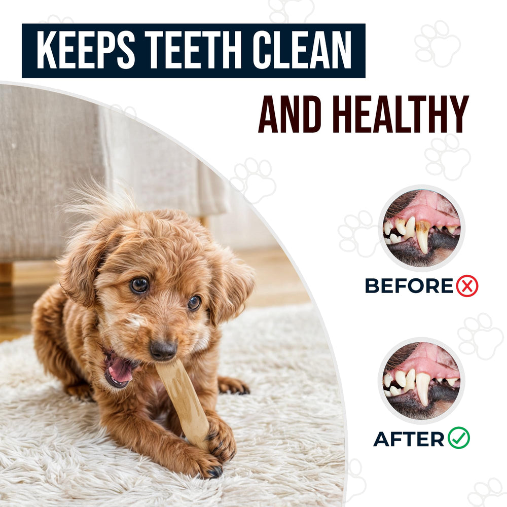 GOWGOW natural, calorie-free chew offers a healthy alternative to traditional toys.