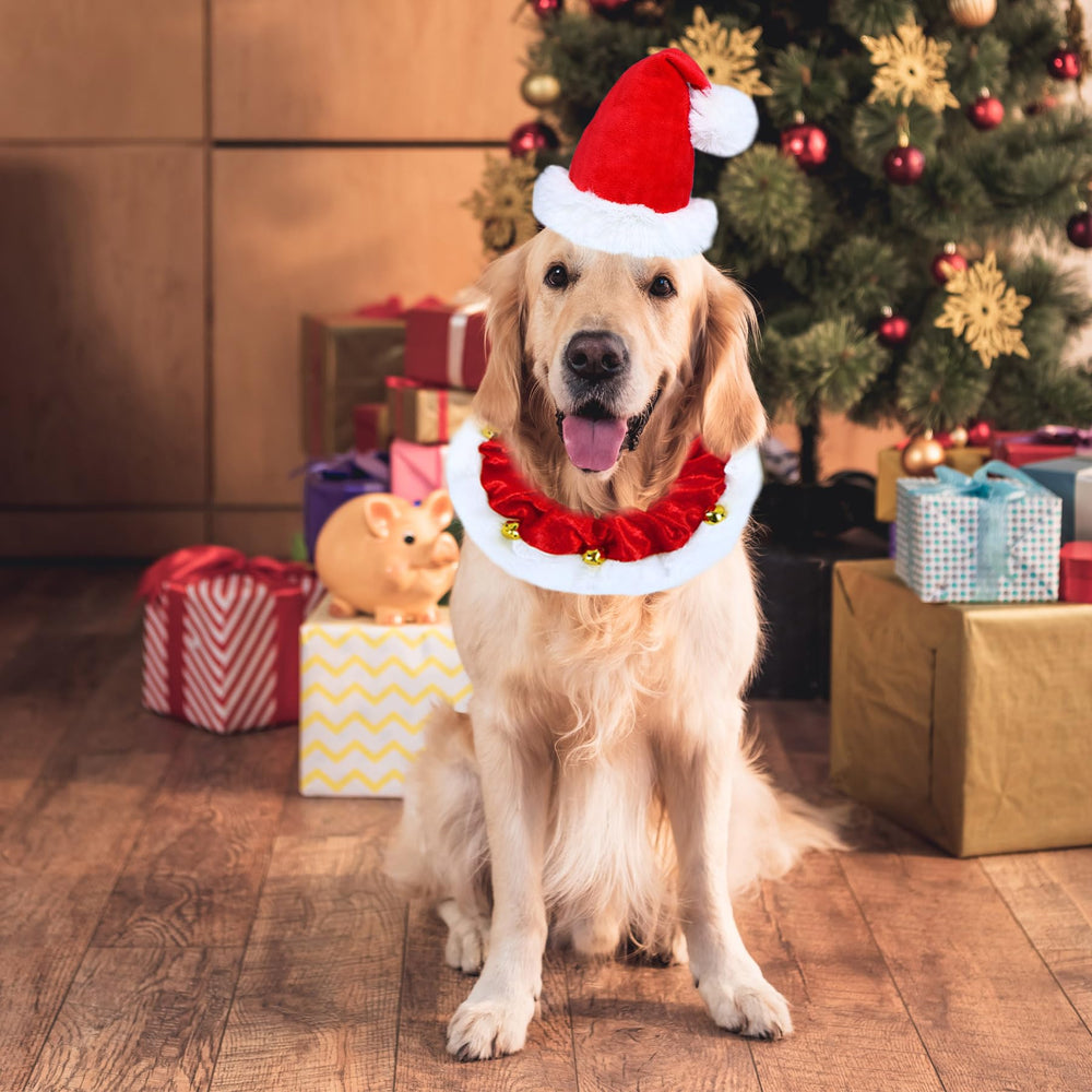 GOYOSWA dog Christmas collar with bells boosts attention during celebrations.