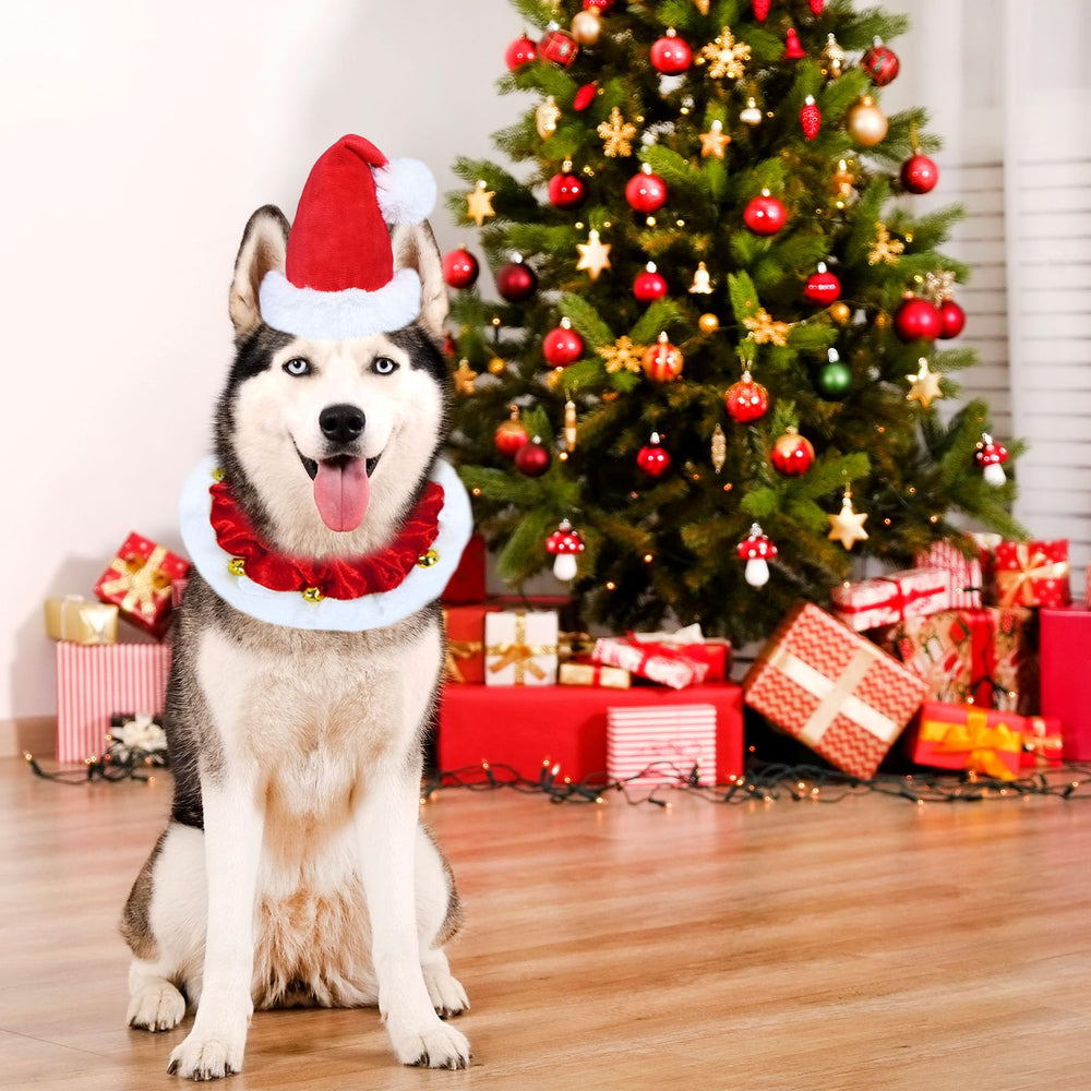 GOYOSWA dog Christmas collar-bells highlights festive charm and playfulness.