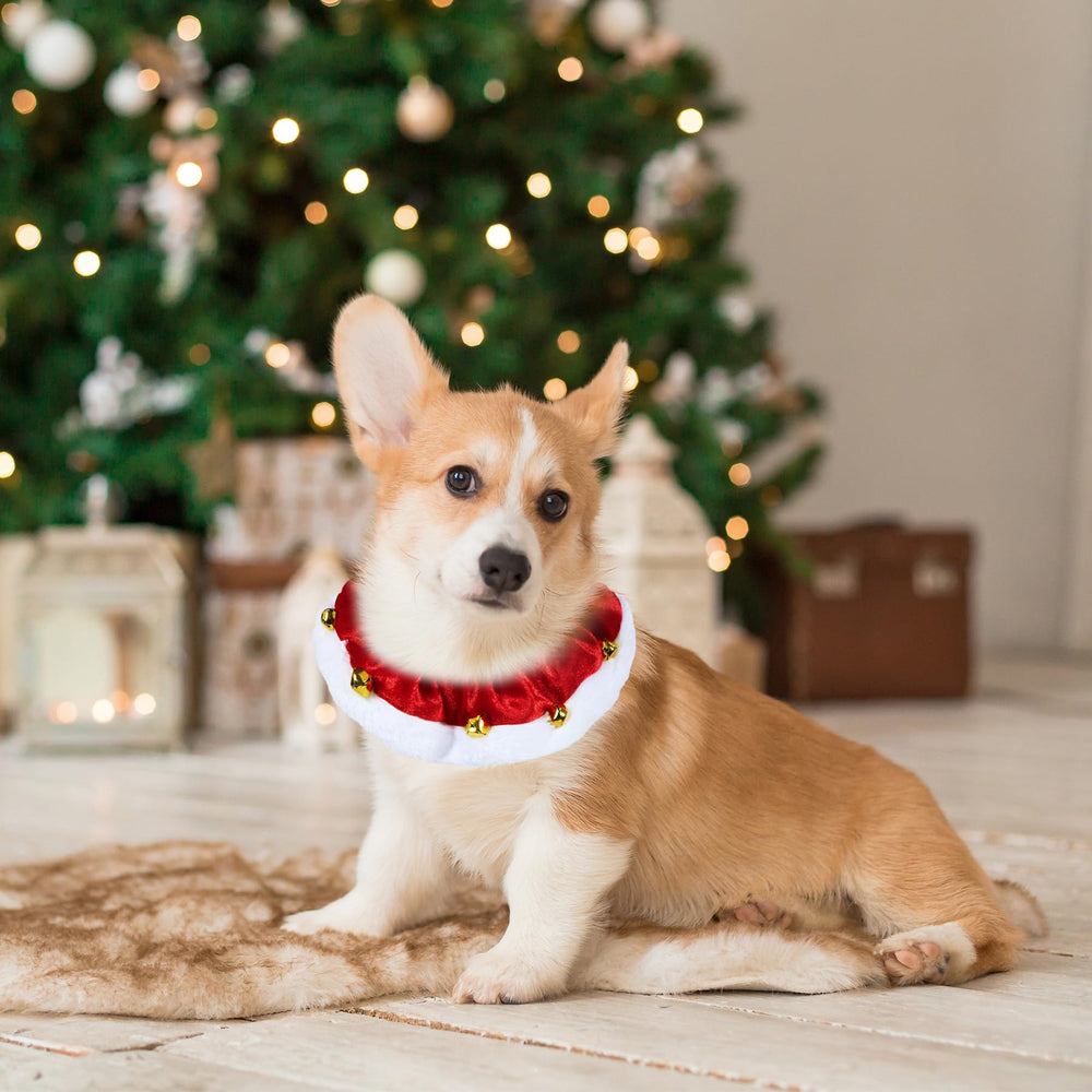 GOYOSWA festive outfit on a dog for holiday styling