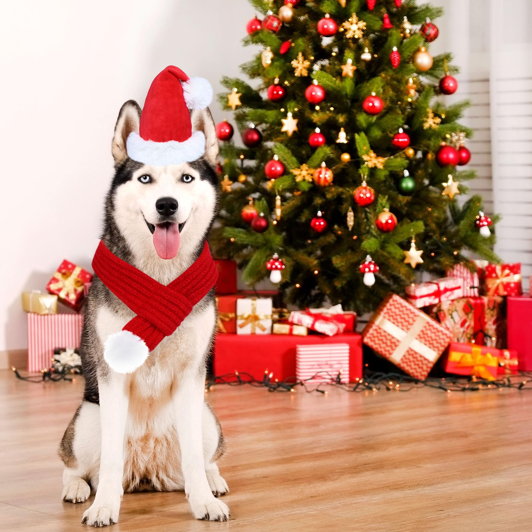 GOYOSWA bundled hat and scarf on dog ready for Christmas events