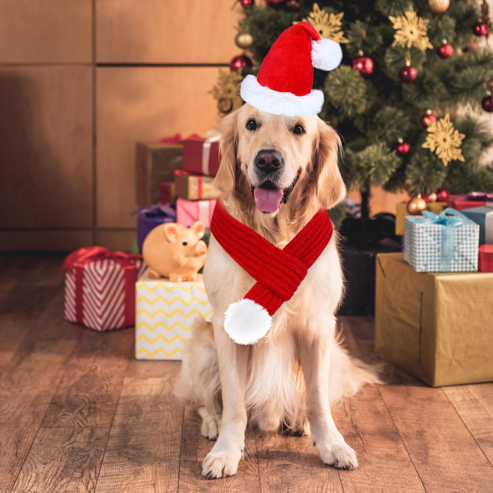 GOYOSWA dog Christmas scarf with pompom accent for adorable holiday wear