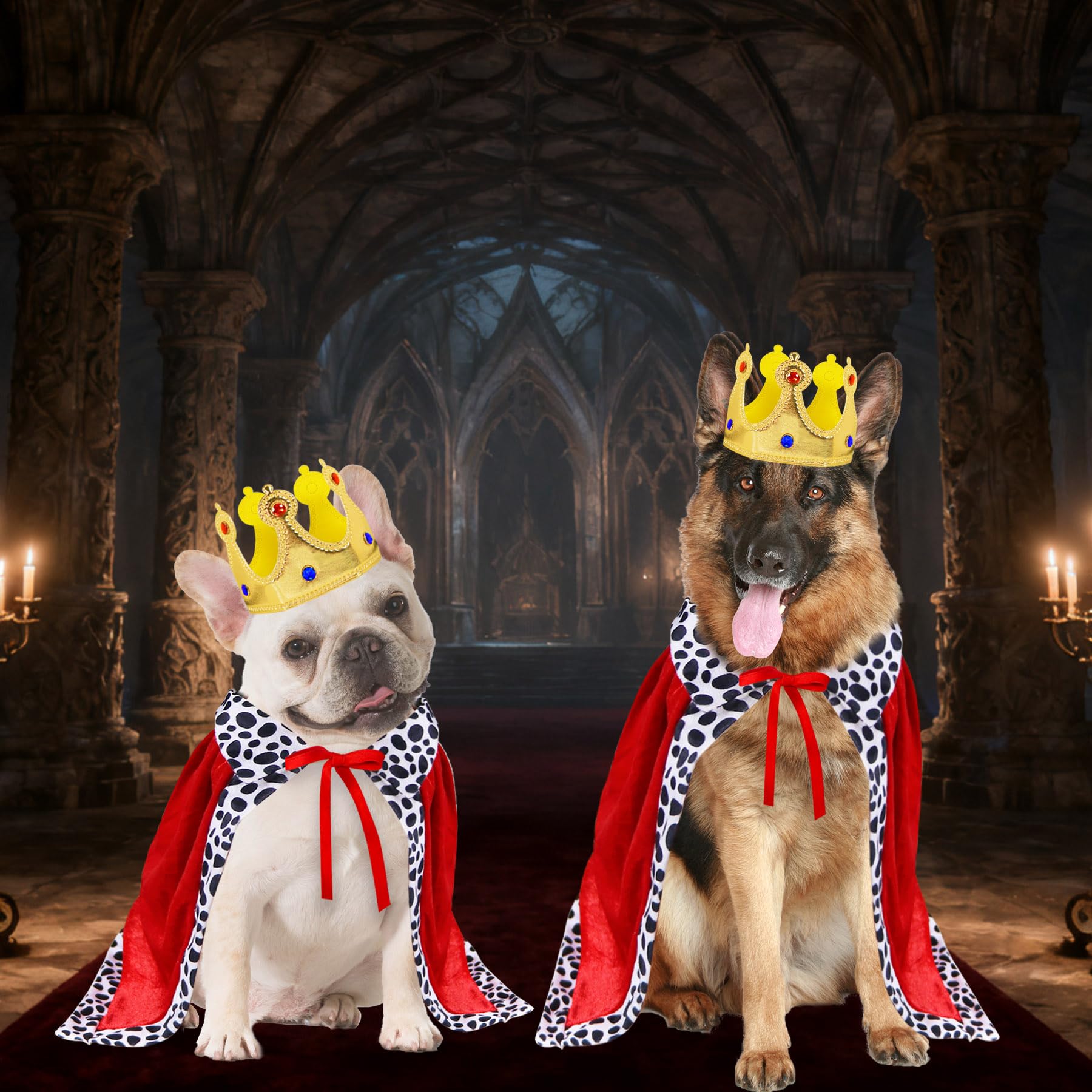 GOYOSWA dog halloween costume used as party prop and photo shoot idea
