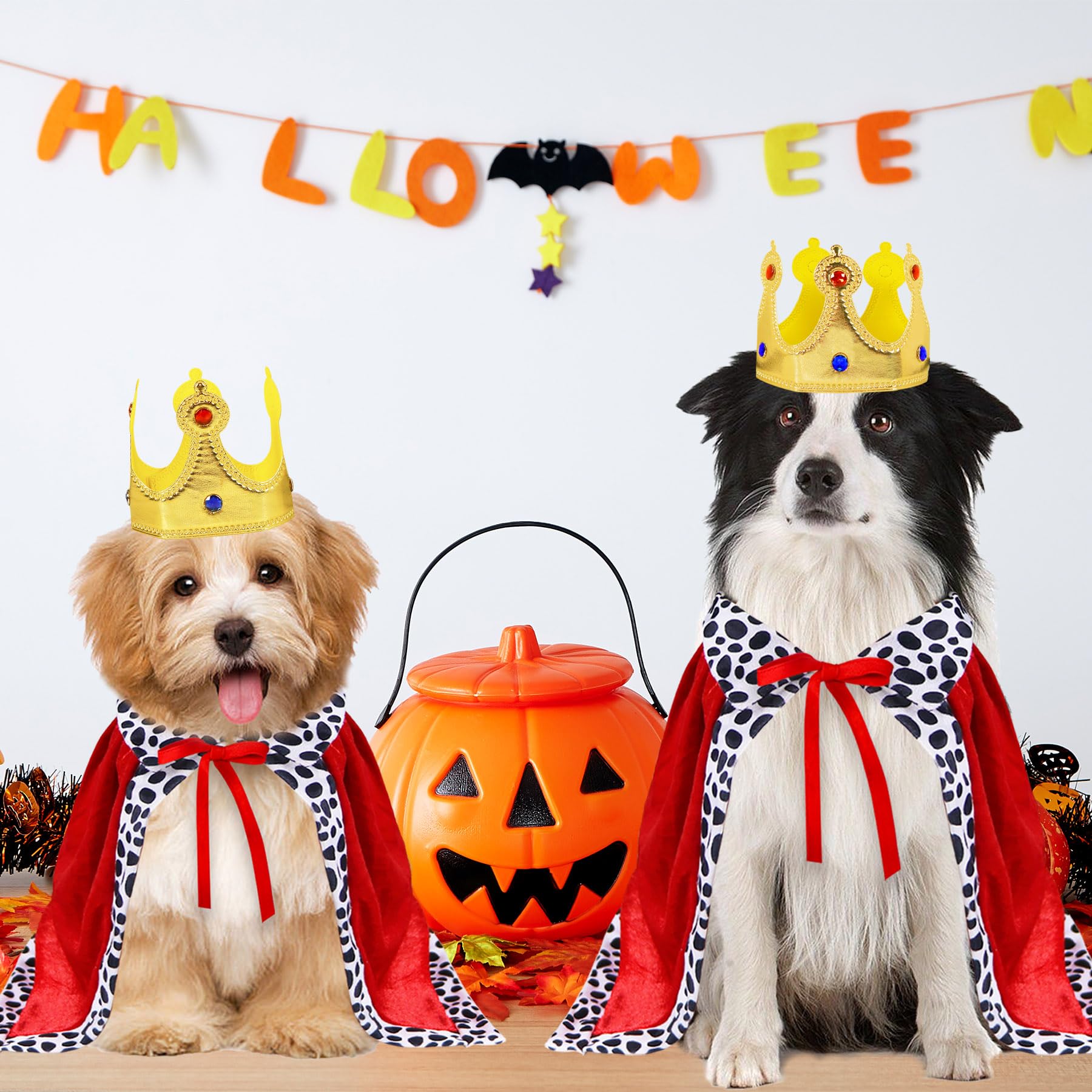 GOYOSWA dog king costume with two neck straps stays in place