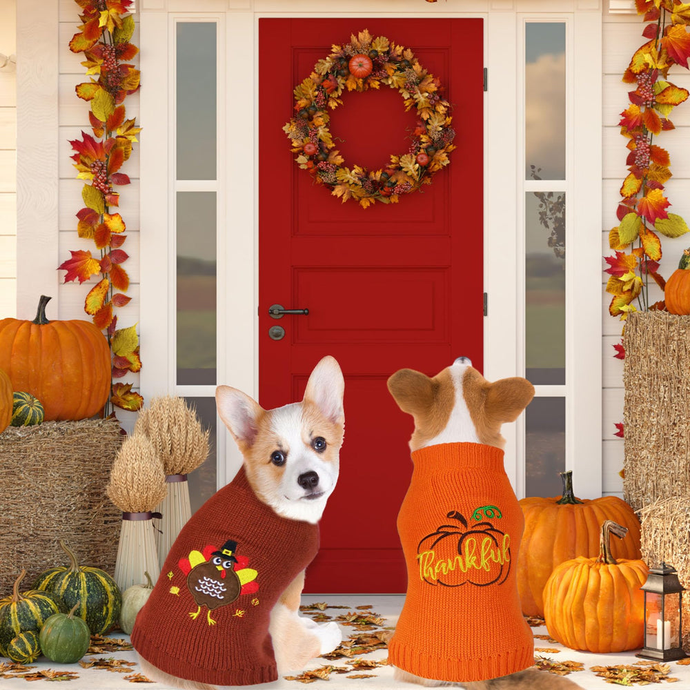 GOYOSWA dog wearing Thanksgiving sweater shown as cozy daily wear option