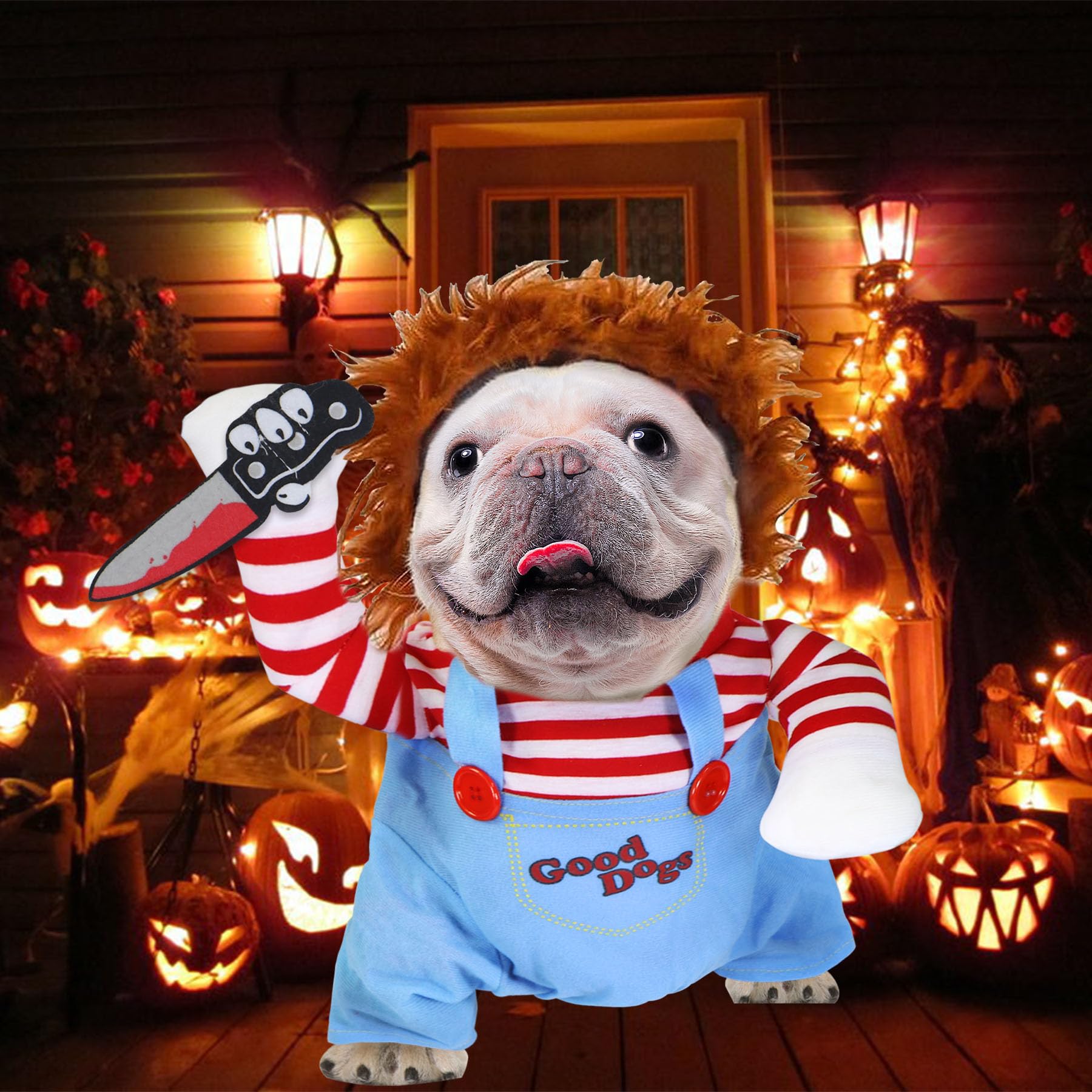 GOYOSWA costume comes in four sizes to fit different dog breeds