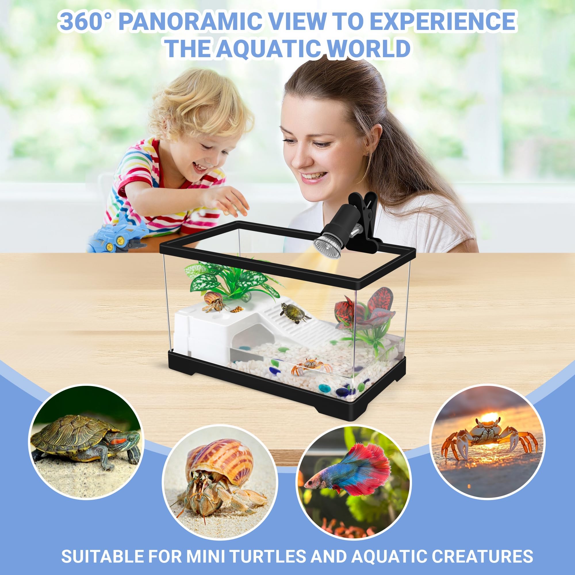 GOZILLA Mini Turtle Tank Compact-size kit fits small spaces