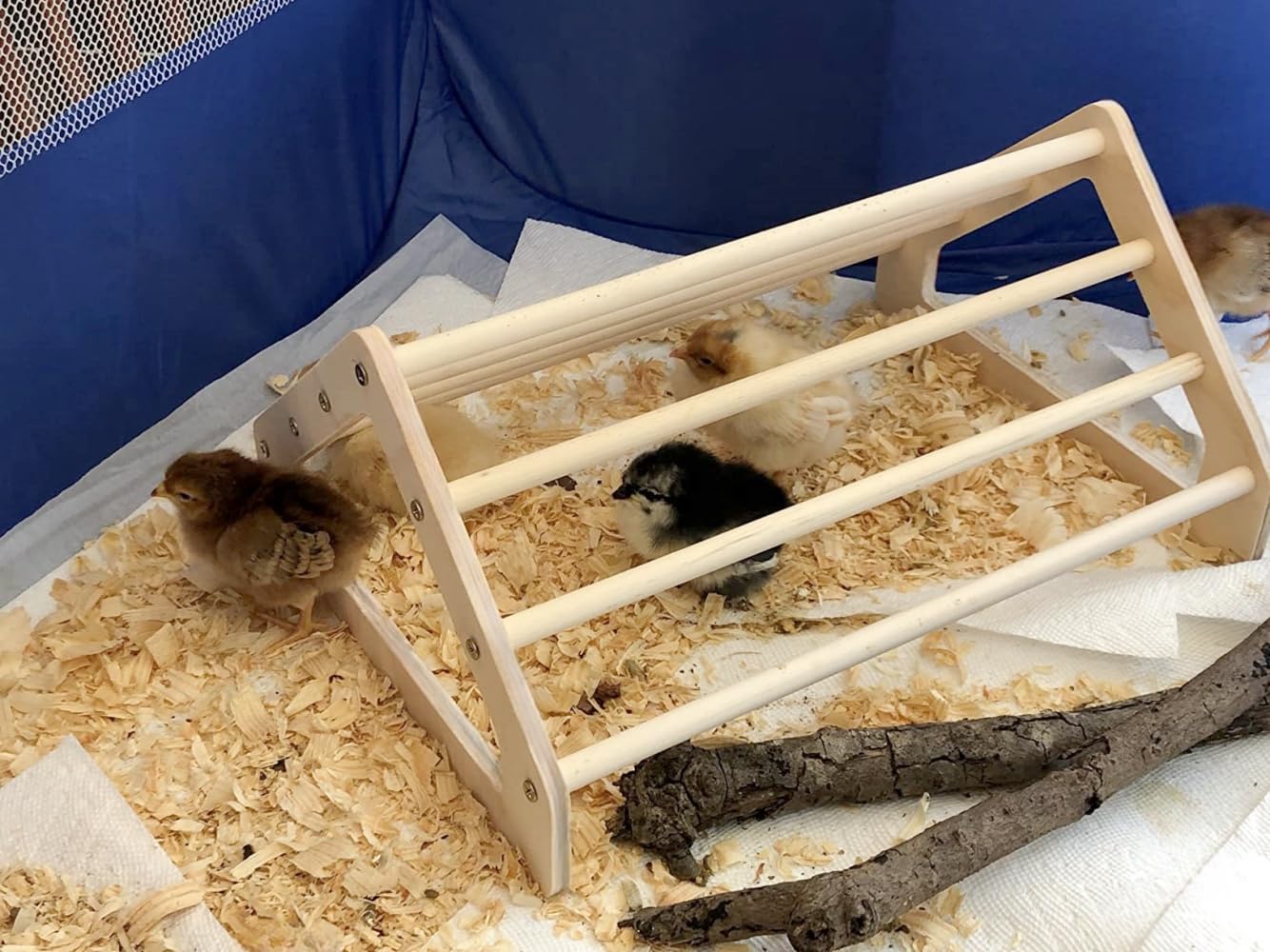 gpgcgsgp superficie-madera-sin-toxico, acabado seguro para aves