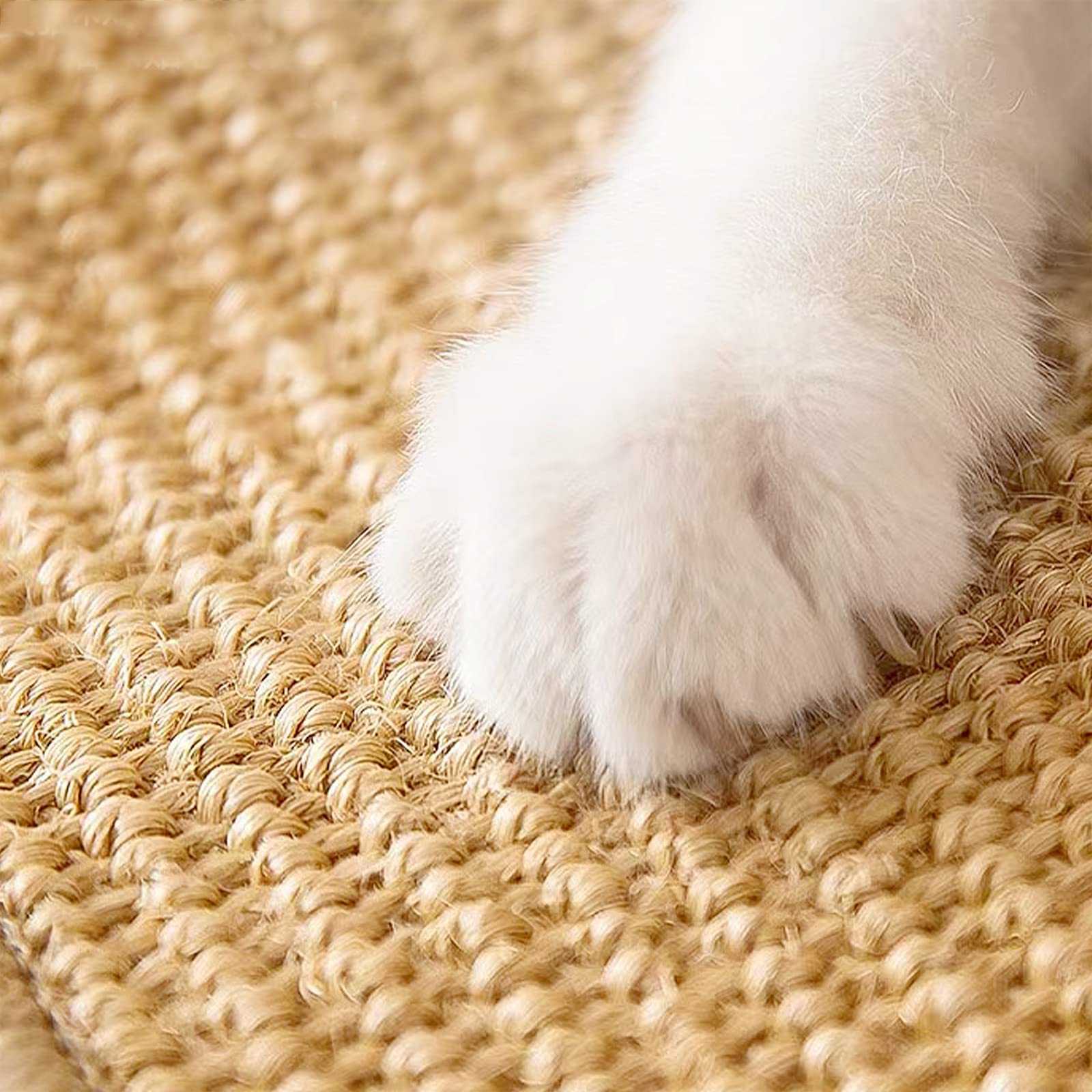Graciadeco indoor cat scratch pad supports stretching and muscle relief