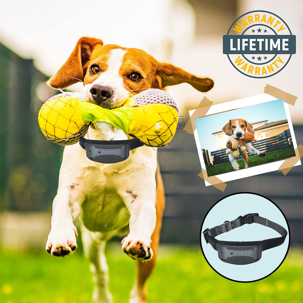 Gracie To The Rescue Austin-designed strap with lifetime warranty