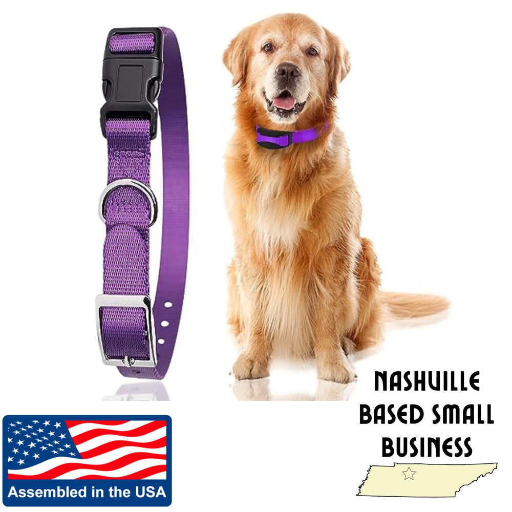 Gracie To The Rescue blue e-collar strap in use during training sessions