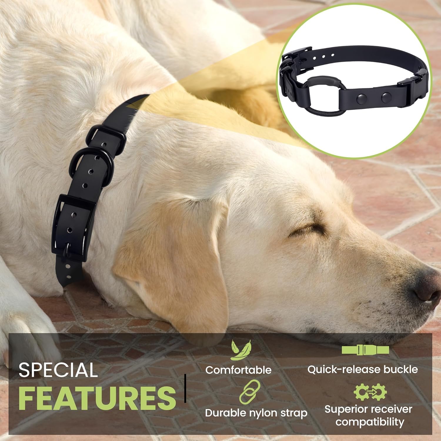 Gracie To The Rescue orange bungee collar demonstrates easy removal feature
