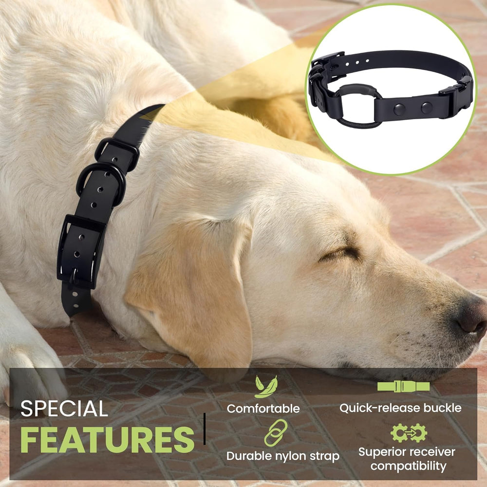 Gracie To The Rescue orange bungee collar demonstrates easy removal feature