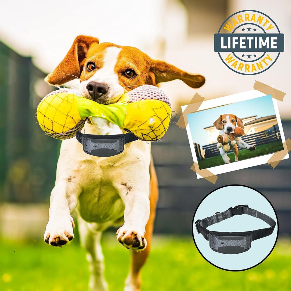 Gracie To The Rescue e-collar replacement strap includes a lifetime warranty and quality assurance.