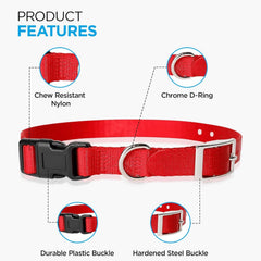 Gracie To The Rescue e-collar replacement strap shows quick-release buckle for easy on-off.